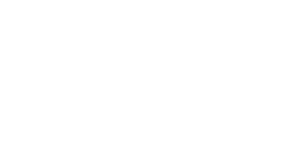 MINT Logo